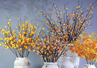 �����̻�ֲ������